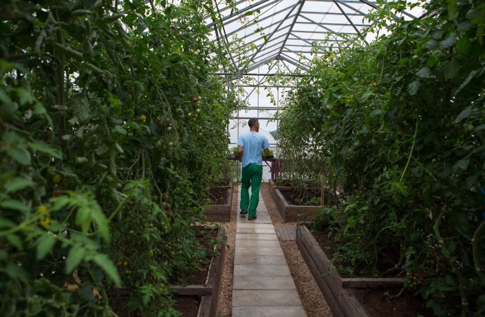 Learner walking in prison greenhouse